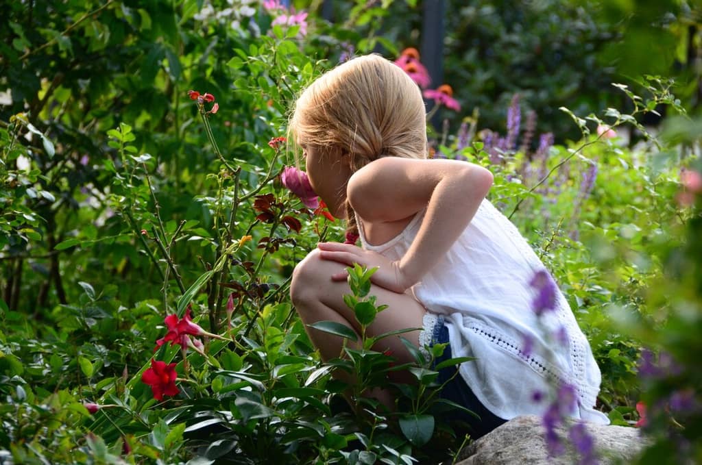 A child smelling red roses in the Saugatuck Rose Garden