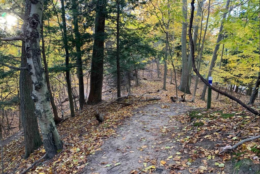 The John Woollam Trail winding through autumn woods