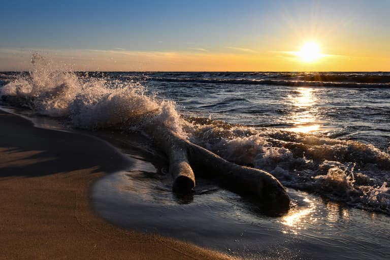 Lake Michigan waves breaking over driftwood on Oval Beach at sunset