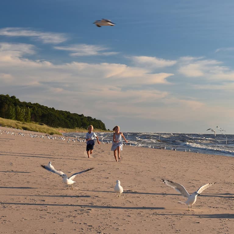A family walking the shoreline among gulls at Oval Beach
